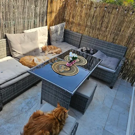 Appartement Quartier L'aubarede Le Cannet